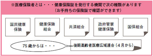 特定健診・特定保健指導の画像その2