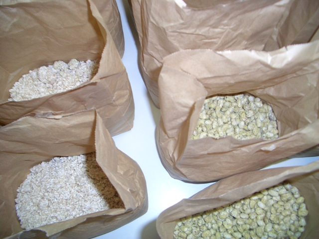 農政講座 手づくりみその画像その2