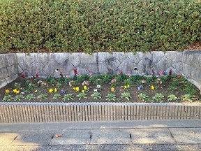 えびす公園花壇