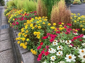 唐竹公園