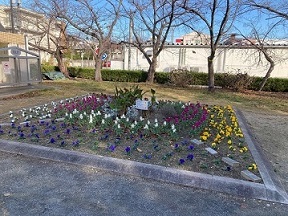 三崎水辺公園