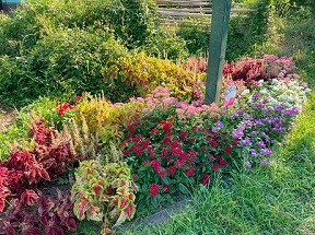 笹原公園