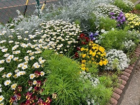 高鴨公園