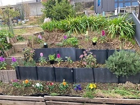 殿ノ山花壇