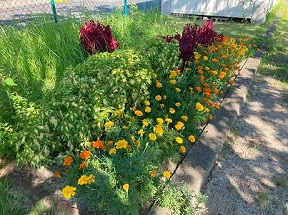 八ツ屋公園