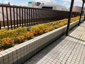 前後駅花壇