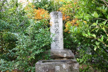 松井兵部少輔宗信墓の画像