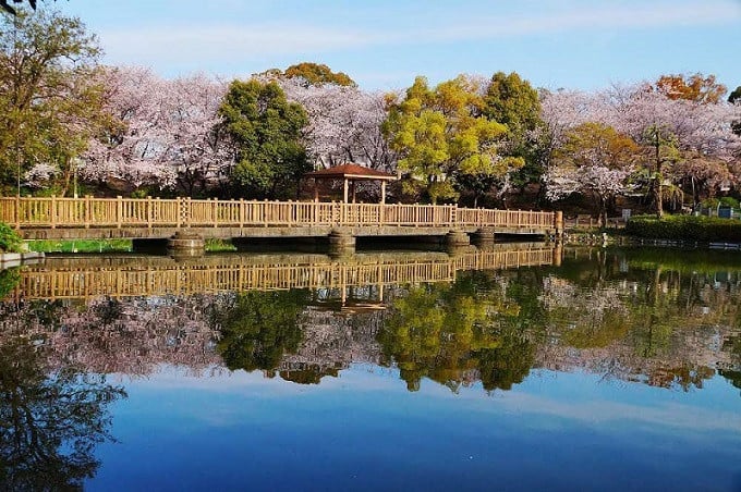 三崎水辺公園1