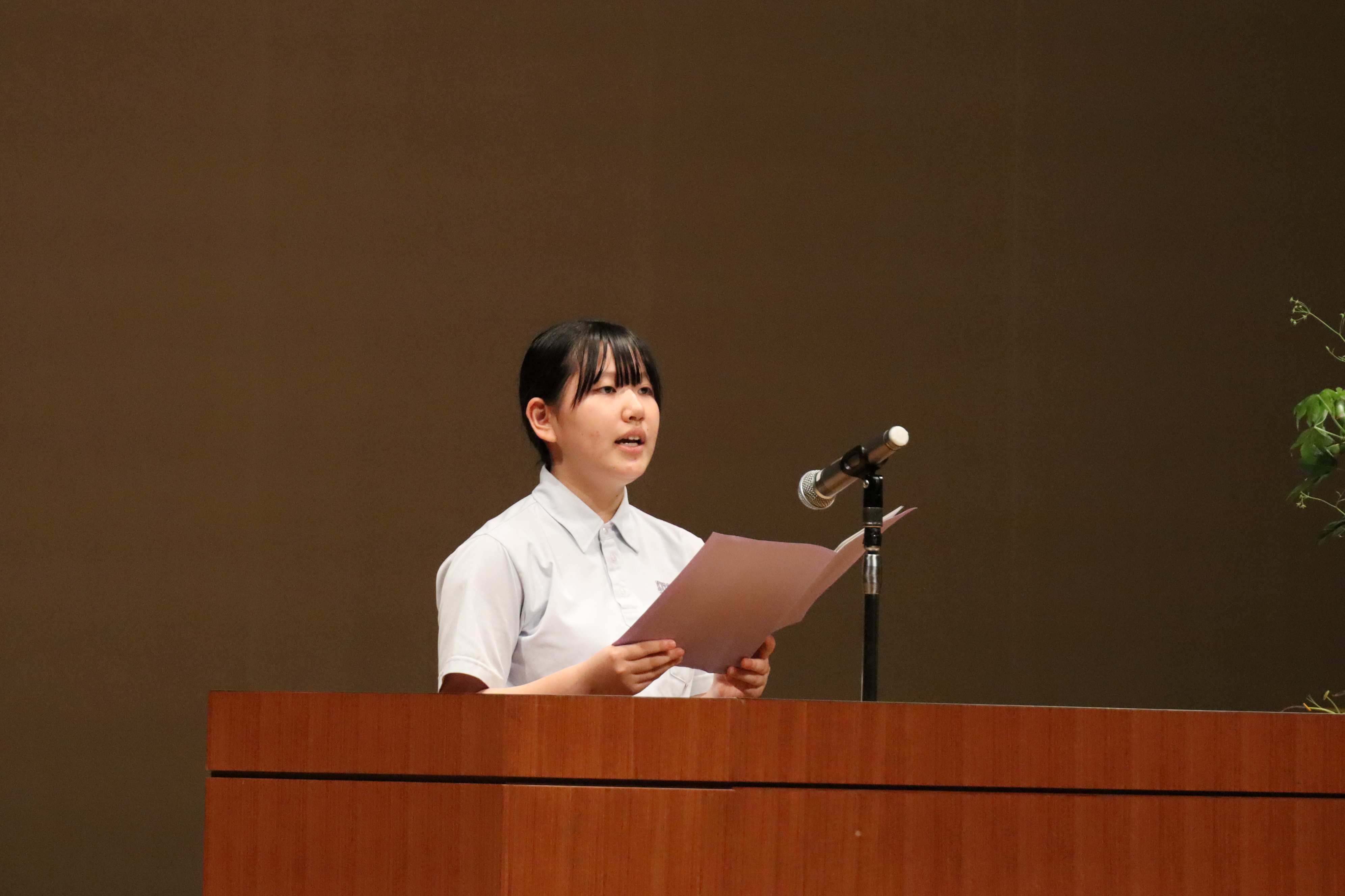 発表の様子