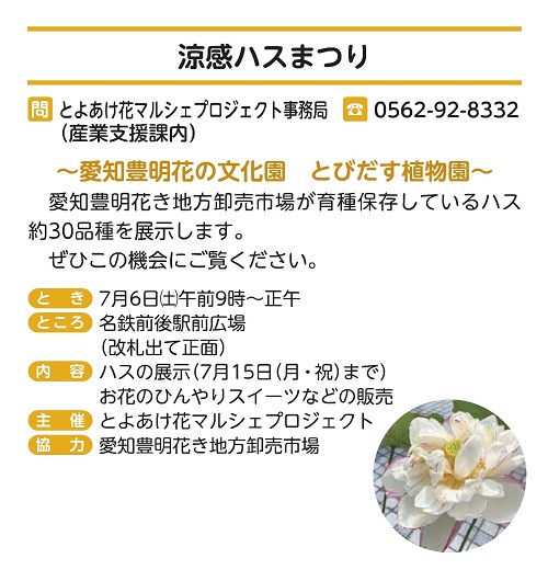 はすまつり詳細