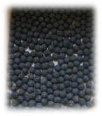 黒大豆の画像