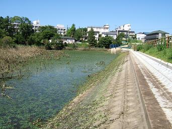 豊明市の現状の画像その2