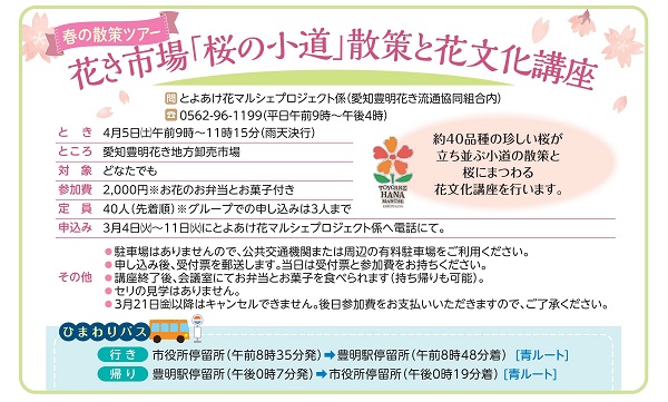 桜の小道