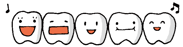 並んだ歯のイラスト