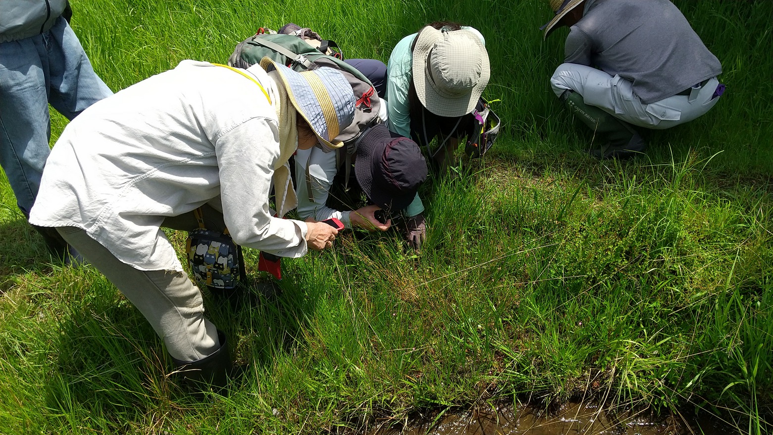大狭間湿地についてもっと知ろう講座の様子