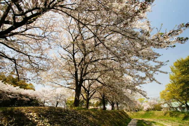 沓掛城址の画像その2