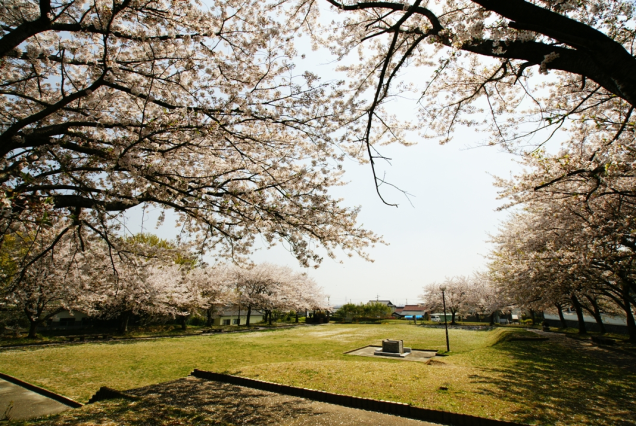 沓掛城址の画像その1