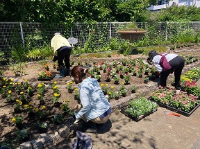 三崎水辺公園