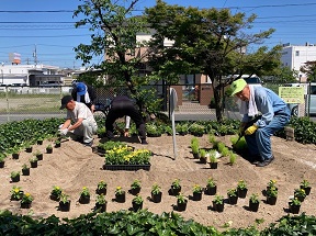 中央公園