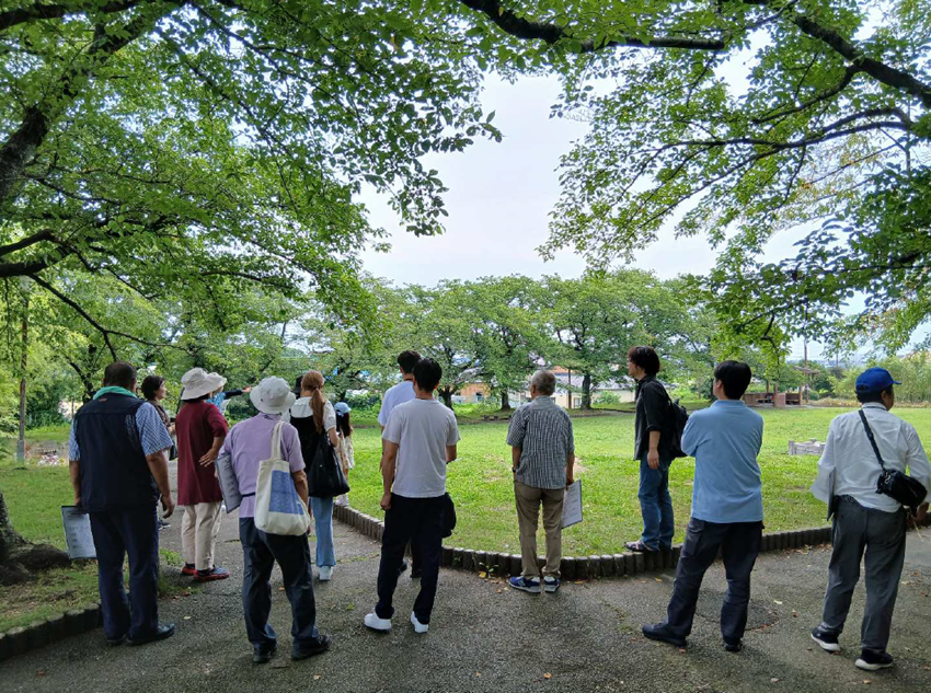現地調査